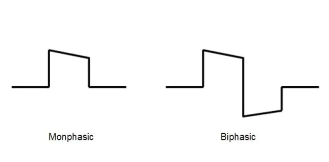 monophasic : 单相的