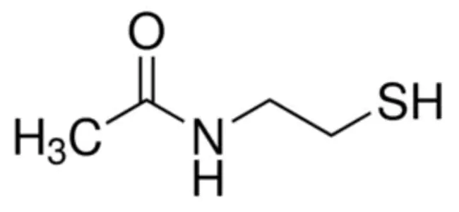 N-acetylcysteamine : N-乙酰半胱氨酸