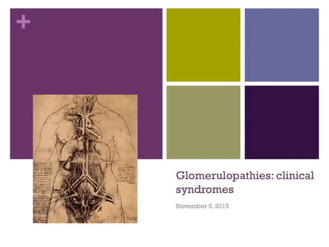 nephrotoxic nephritis : 肾毒性肾炎