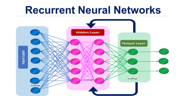 Neural Plate : 神经板