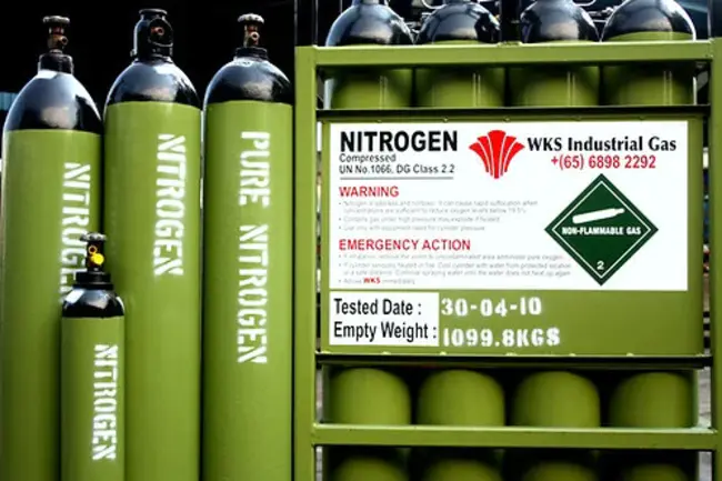 Nitrogen Intake : 氮素摄入