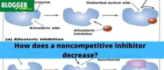 noncompetitive antagonist : 非竞争性拮抗剂