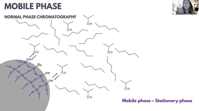 Normal Phase Chromatography : 正相色谱法