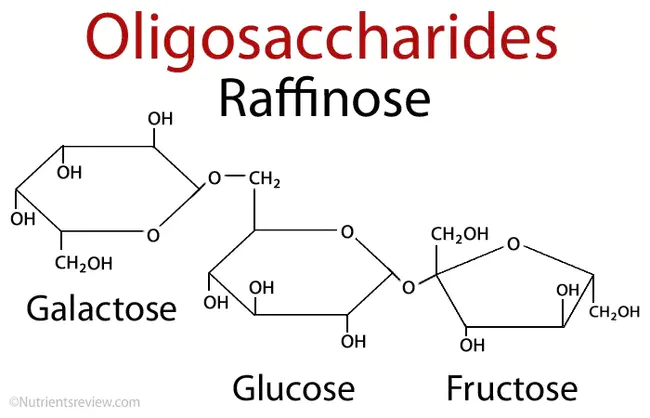 oligosaccharide : 寡糖