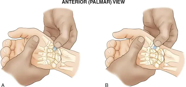 Palpation, Percussion & Auscultation : 触诊、叩诊