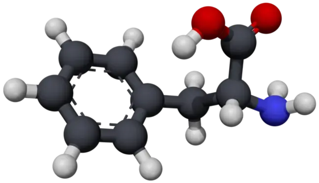 phenylalanine : 苯丙氨酸