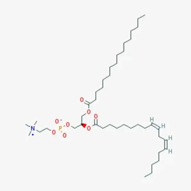 Phosphatidyl Inositol : 磷脂酰肌醇