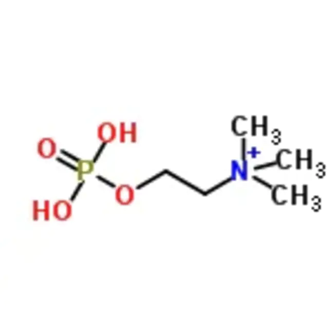 phosphocholine : 磷酸胆碱