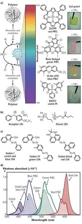 Photoreactive Repair : 光反应修复