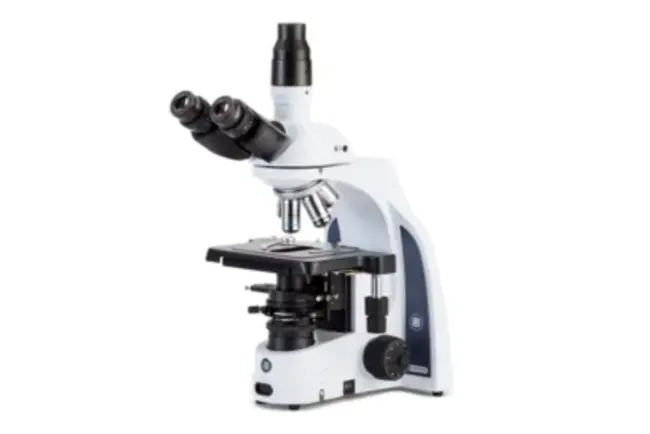Polarising Microscopy : 偏光显微镜