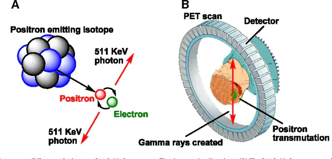 Positron Annihilation Spectroscopy : 正电子湮没谱学