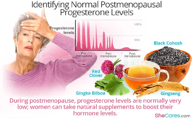 postmenopausal : 绝经后的