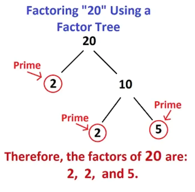 Potentiation Factor : 增强因子