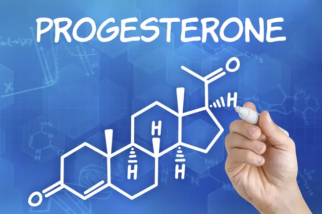 PROgesterone : 孕酮