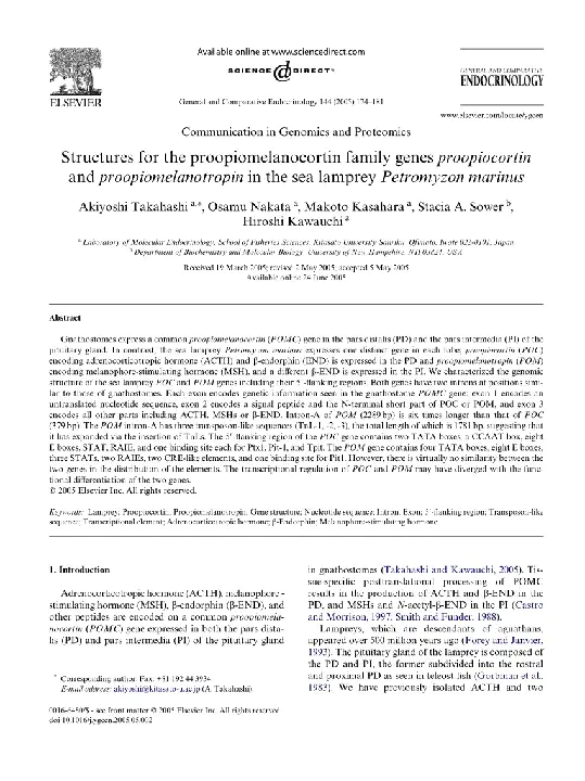 proopiomelanotropin : 原阿片霉素