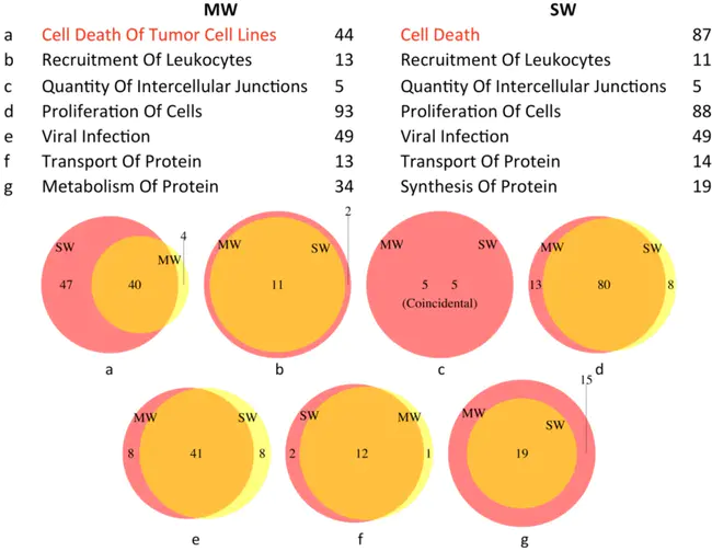 protein C cofactor : 蛋白C辅因子