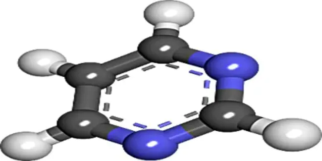 Pyrimidine Dimer : 嘧啶二聚体