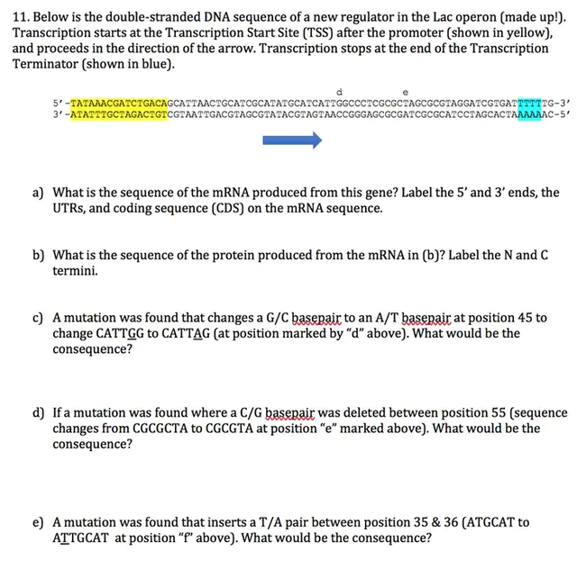 Replication and Transcription Activator : 复制和转录激活剂