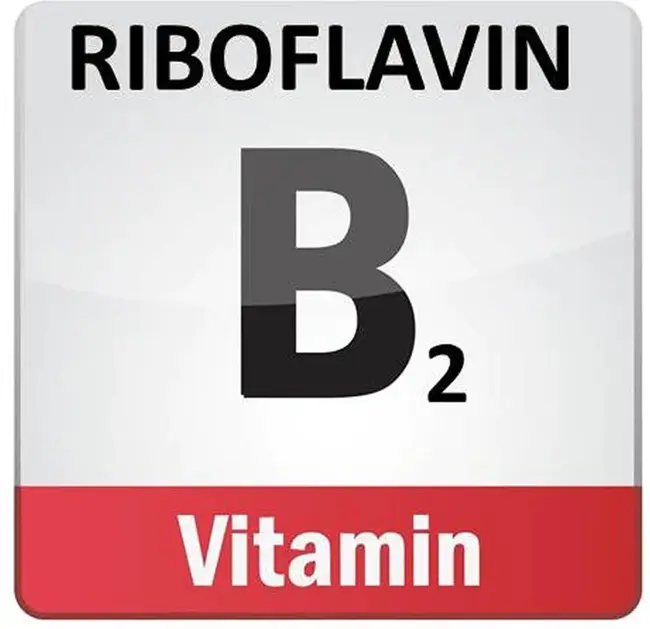 riboflavin : 核黄素