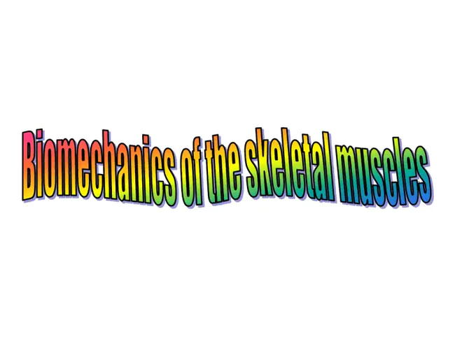 Skeletal Muscle Cell : 骨骼肌细胞