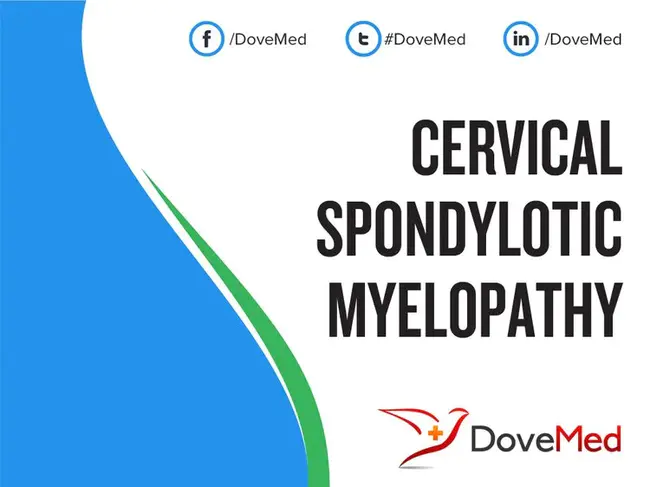 Spondylotic Cervical Myelopathy : 脊髓型颈椎病