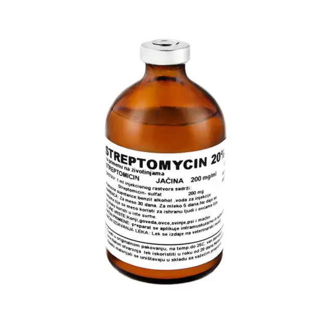 streptomycin resistant : 链霉素抗性