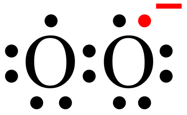 superoxide : 超氧化物