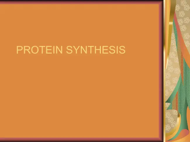 Synthesising Protein Complex : 合成蛋白质复合物