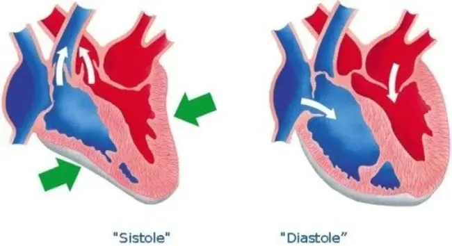 Systolic Pressure : 收缩压