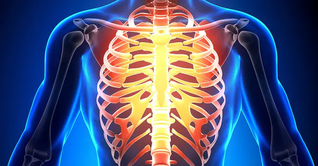 Thoracic Circumference : 胸围