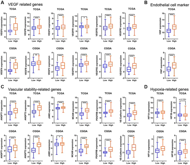 Tumour-Induced Angiogenesis : 肿瘤诱导的血管生成