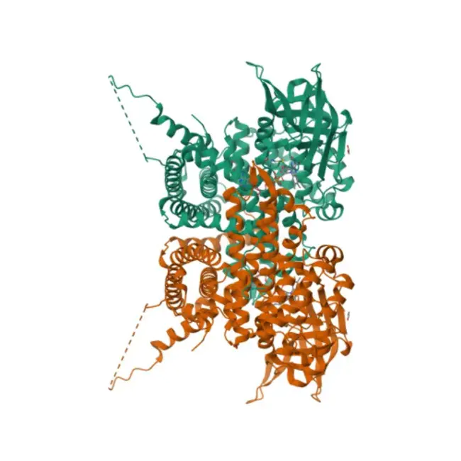 Very long-chain acyl-CoA dehydrogenase : 极长链酰基辅酶A脱氢酶