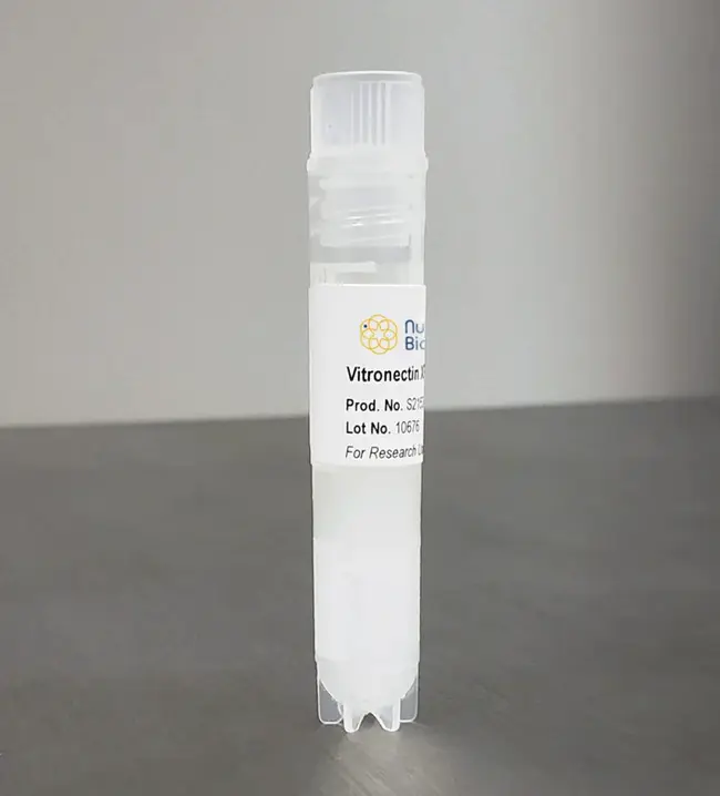 vitronectin : 玻连蛋白