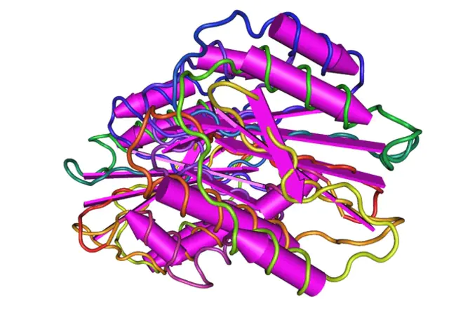 Willebrand factor : Willebrand因子