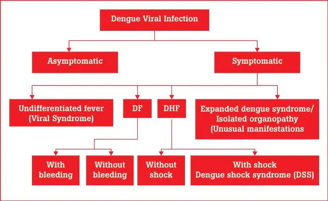 Dengue hemorrhagic fever : 登革热出血热