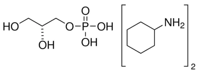 glycerol-3-phosphate oxidase : 甘油-3-磷酸氧化酶