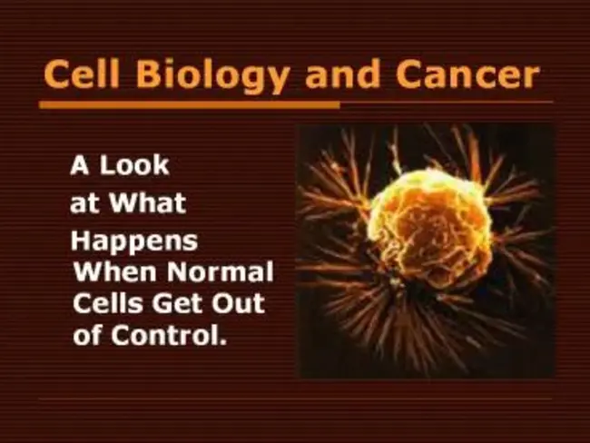 Cell Biology : 细胞生物学