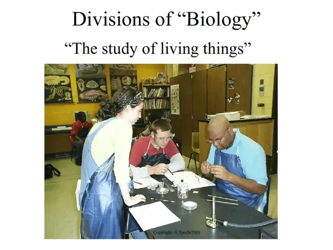 Division of Biological Sciences : 生物科学处