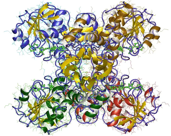 Glyceraldehyde 3-phosphate : 3-磷酸甘油醛