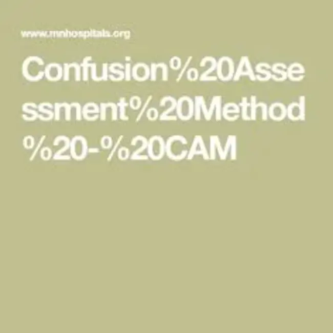 Confusion Assessment Method : 混淆评估法