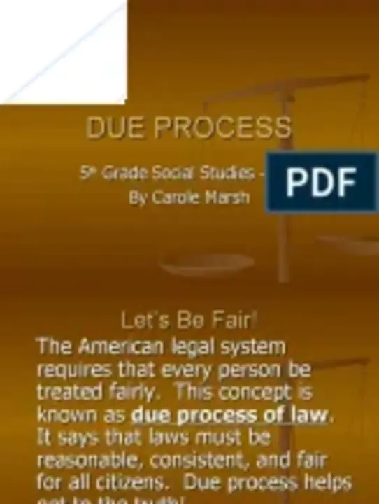 Due Process : 正当程序