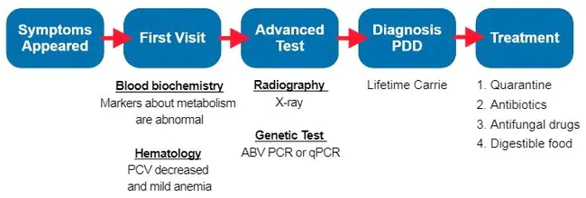 Avian Disease Diagnostic Laboratory : 禽病诊断实验室