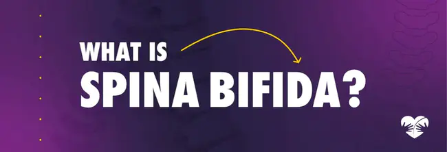 Spina Bifida Resource Network : 脊柱裂资源网络