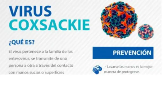Coxsackievirus A : 柯萨奇病毒A型