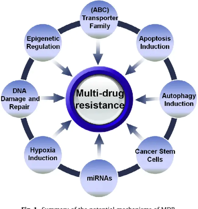 Drug-Resistance Survey : 抗药性调查