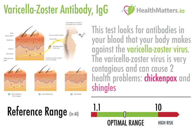 varicella zoster immune globulin : 水痘带状疱疹免疫球蛋白