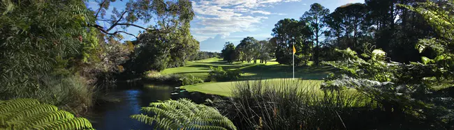 New Zealand Golf Club : 新西兰高尔夫俱乐部