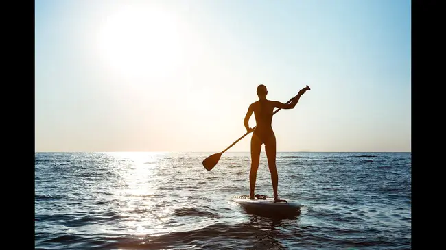 Stand Up Paddleboard : 直立式桨板