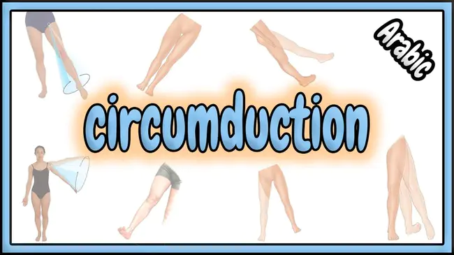 circumcuision : 包皮环切术