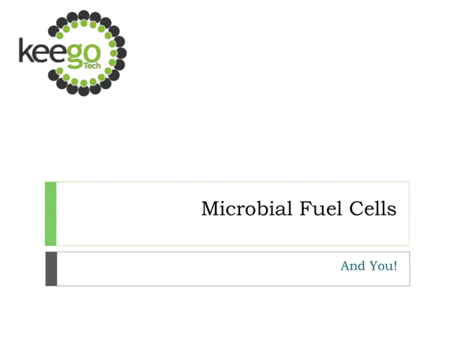 Microbial Fuel Cells : 微生物燃料电池